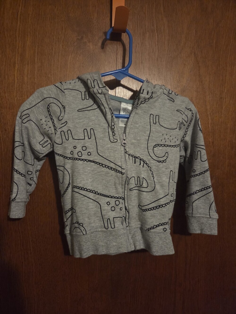 Kids' Gray Dino Zip Hoodie Sweatshirt